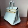 Birkin 25 Hand stitched  Handcrafted authentic hand-sewn Vert Fizz Swift Leather with Palladium Hardware Palladium  Hardware authentic hand-sewn