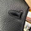 Birkin 25 Touch Noir Black Togo / Lizard, Palladium Hardware
